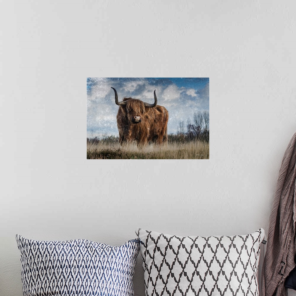 A bohemian room featuring Highland Bull Vintage 1
