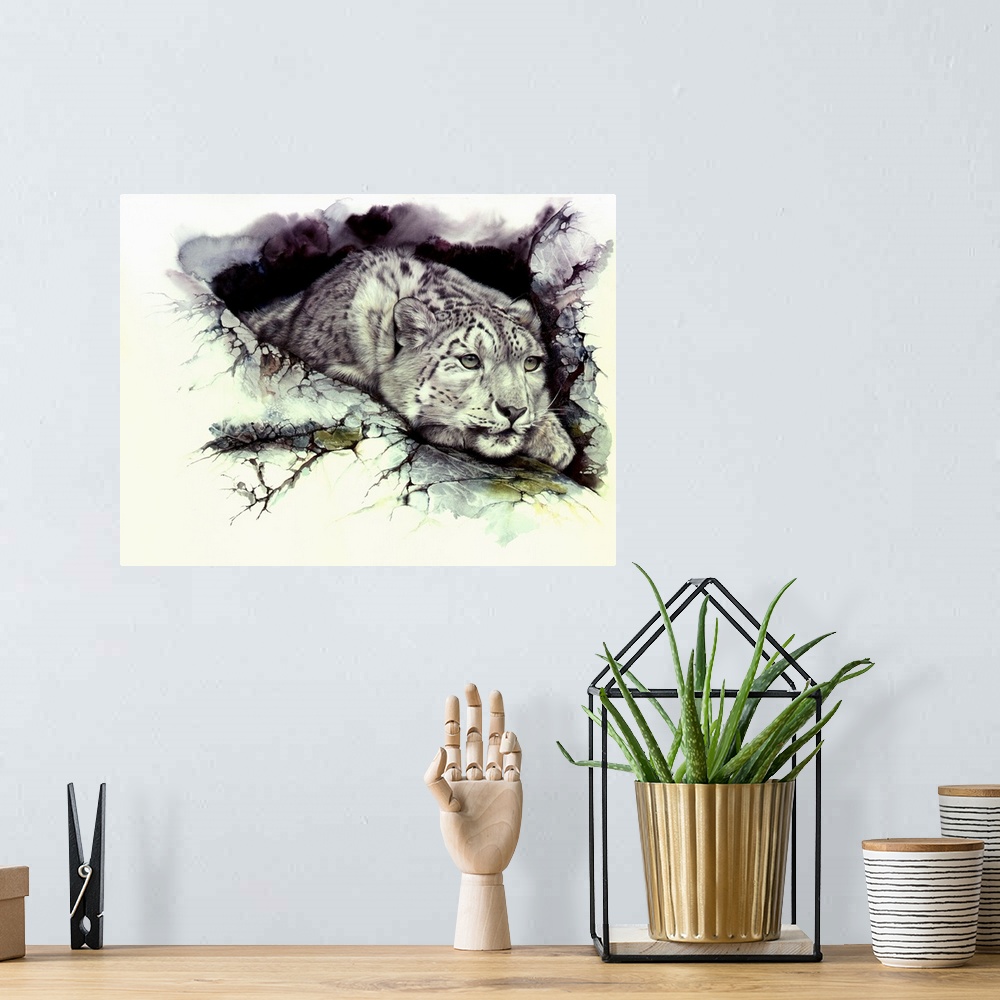 A bohemian room featuring A snow Leopard surveys the outlook from a safe hide away. Originally created using watercolor and...