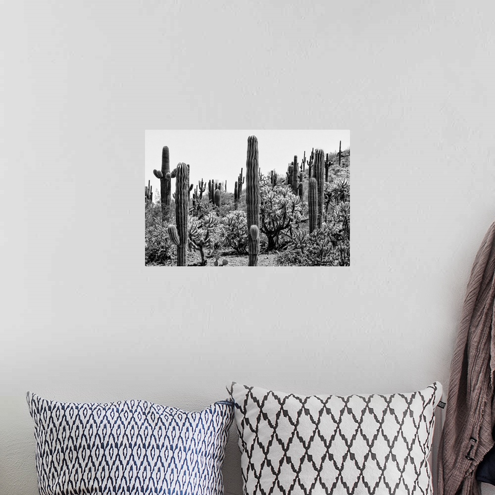 A bohemian room featuring From Tucson to Monument Valley, discover this fabulous new series of photos taken under the watch...