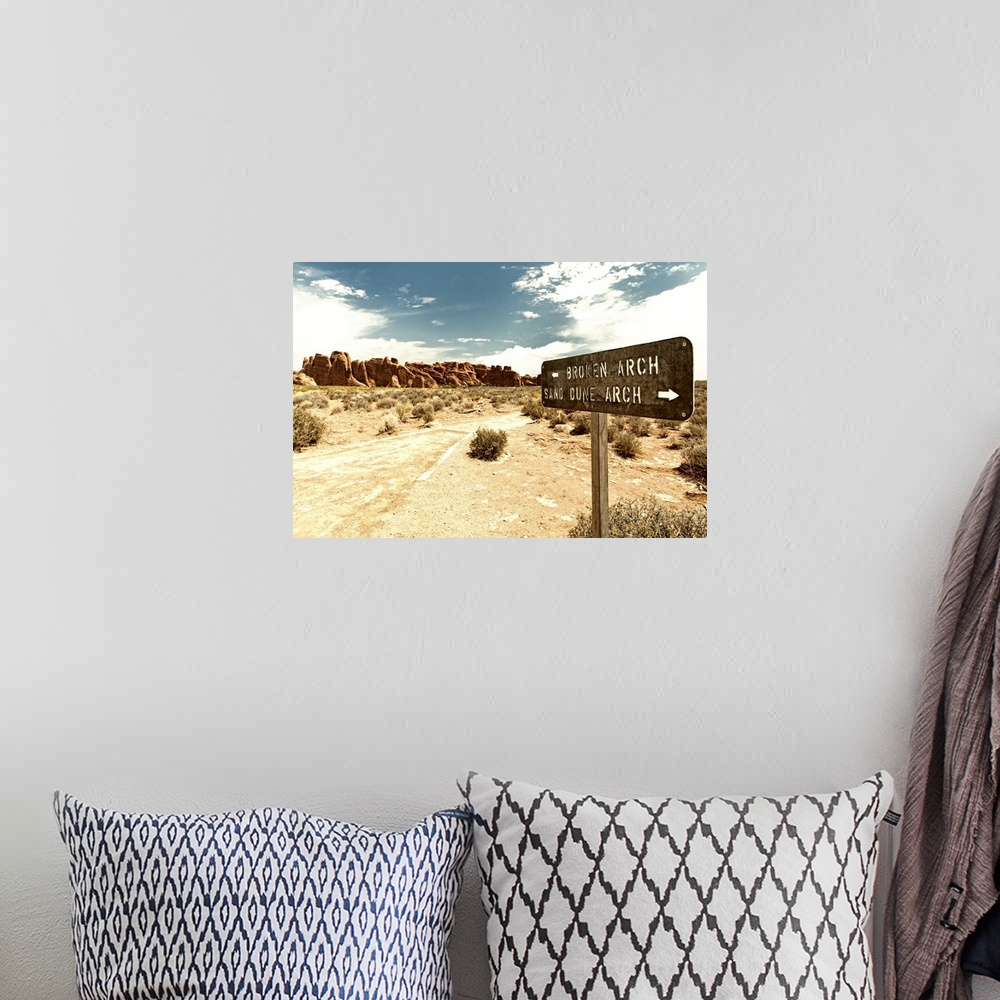 A bohemian room featuring Signpost pointing towards Arches in opposite directions in the desert.