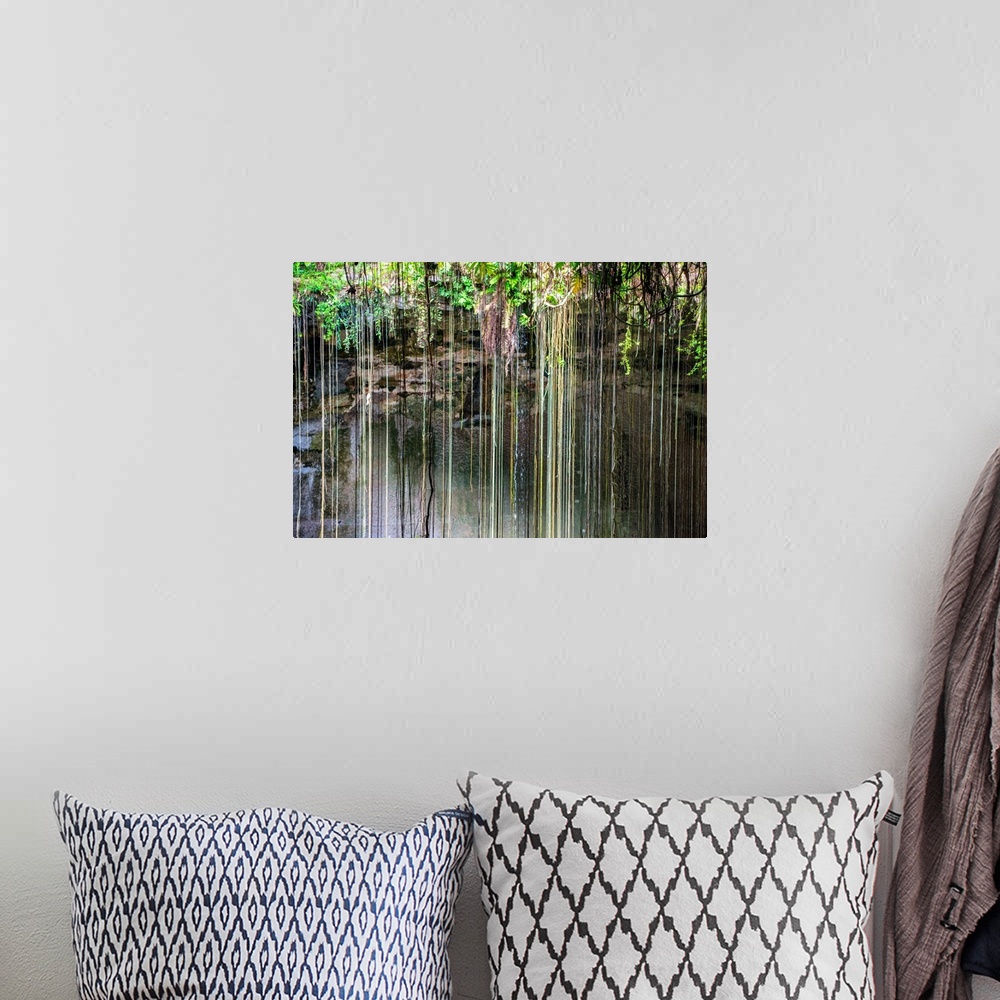 A bohemian room featuring Photograph of the hanging roots at Ik-Kil Cenote, Ik-Kil archaeological park, Mexico. From the Vi...
