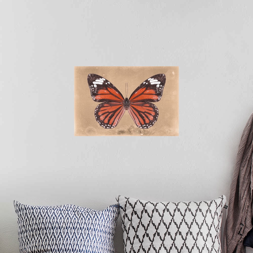 A bohemian room featuring Photograph of a butterfly on an orange sparkly background.