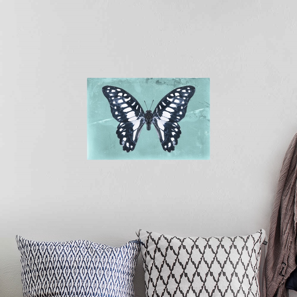 A bohemian room featuring Photograph of a butterfly on a blue-green sparkly background.