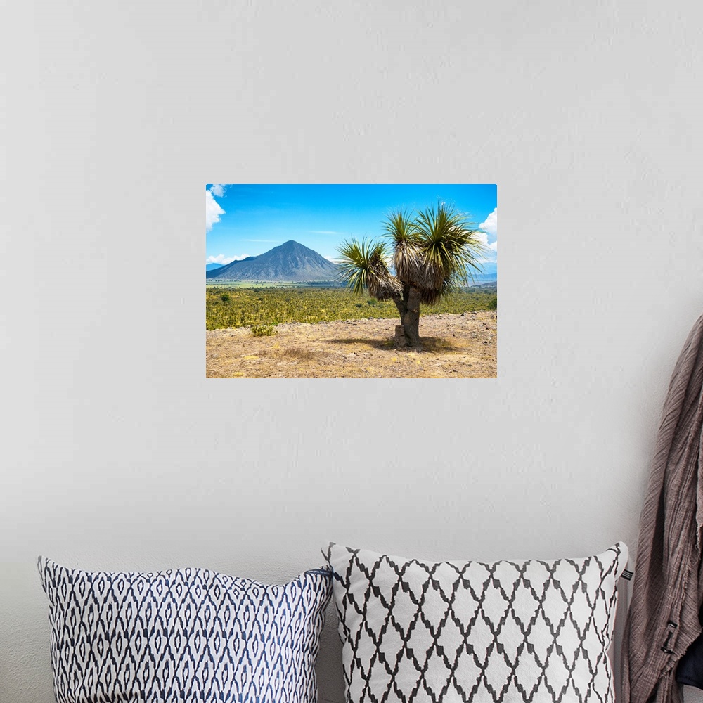 A bohemian room featuring Desert landscape photograph with a mountain in the background located in Puebla, Mexico. From the...
