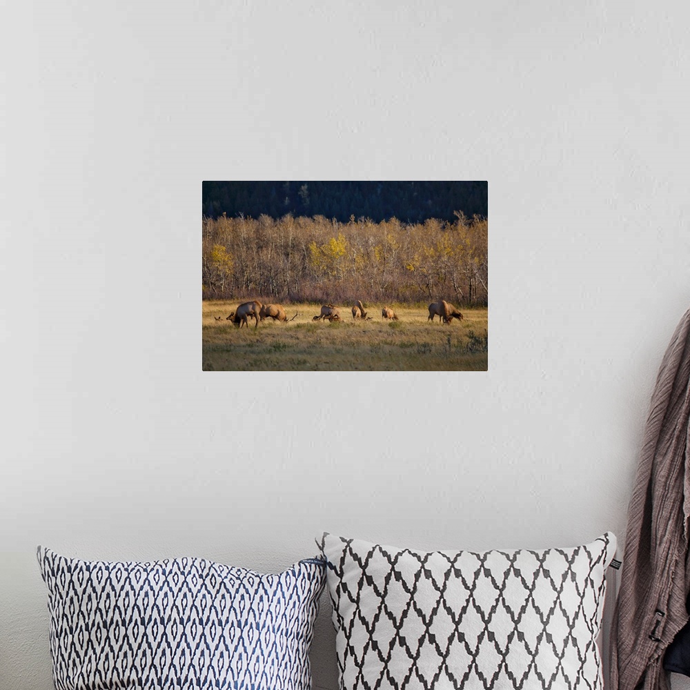 A bohemian room featuring A photograph of a herd of deer grazing in a grassy field.