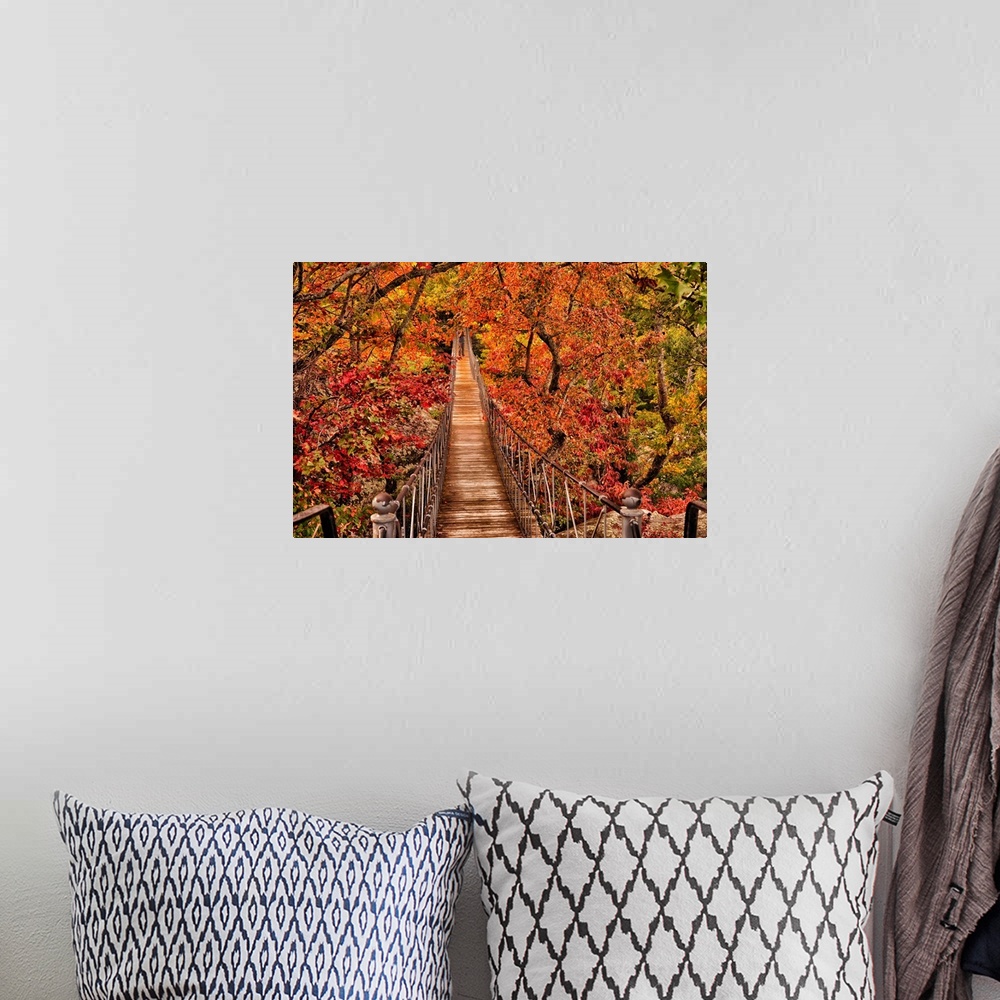A bohemian room featuring Autumn in Tennessee.