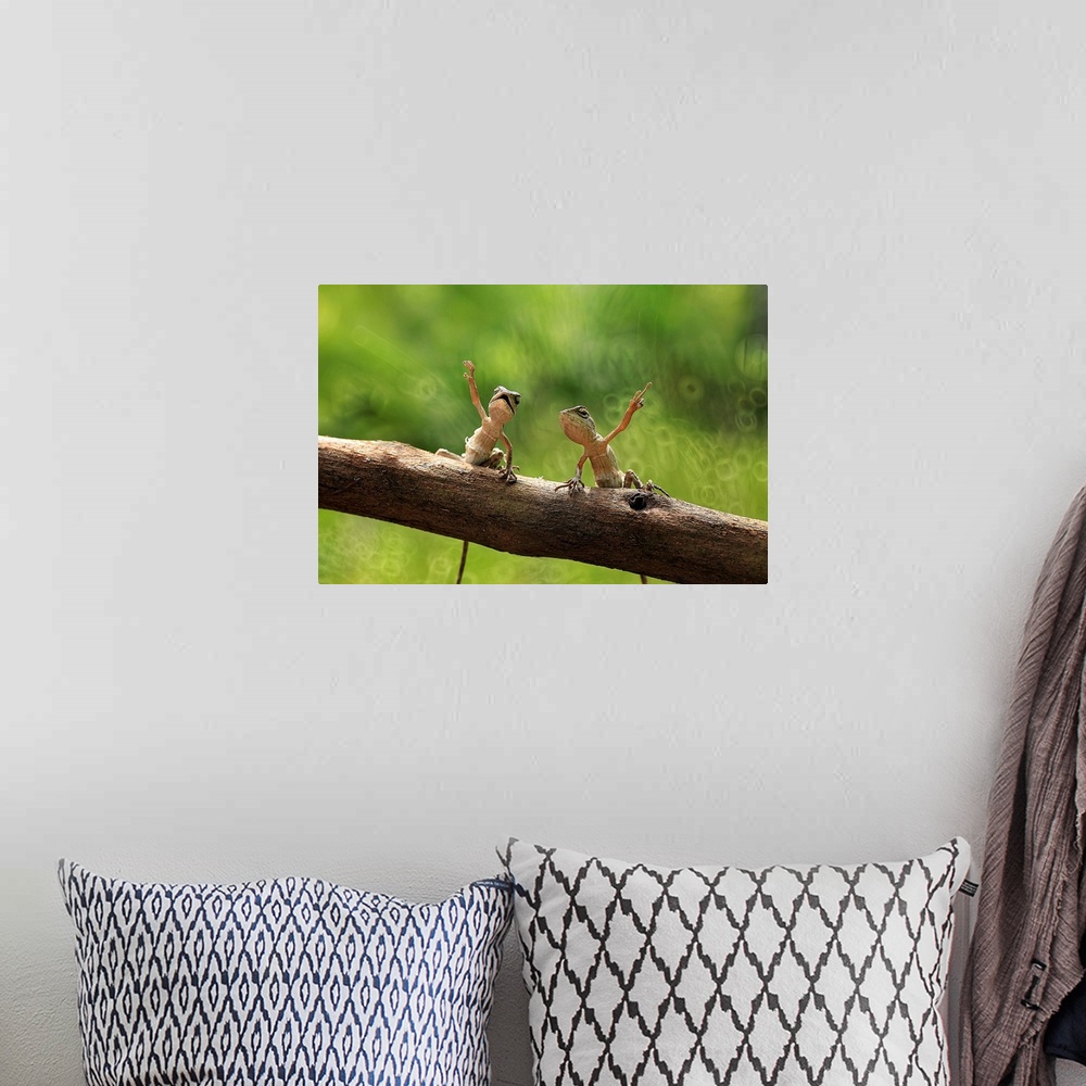 A bohemian room featuring Two small lizards on a branch with their arms up in the air.