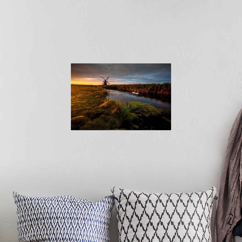 A bohemian room featuring Two swans in the river in Herringfleet, with a windmill in the back, at sunrise, England.