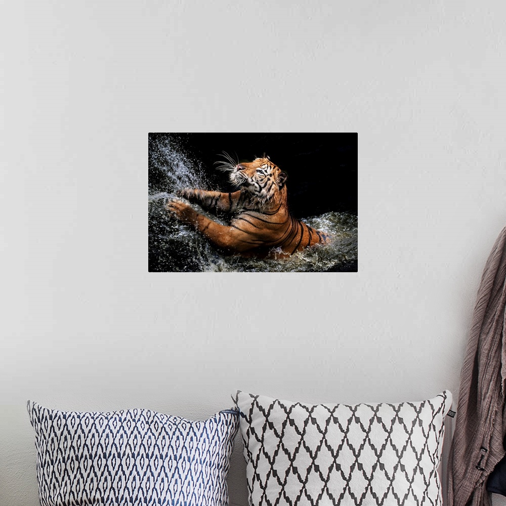 A bohemian room featuring A photograph of a tiger leaping up into the air from shallow water.