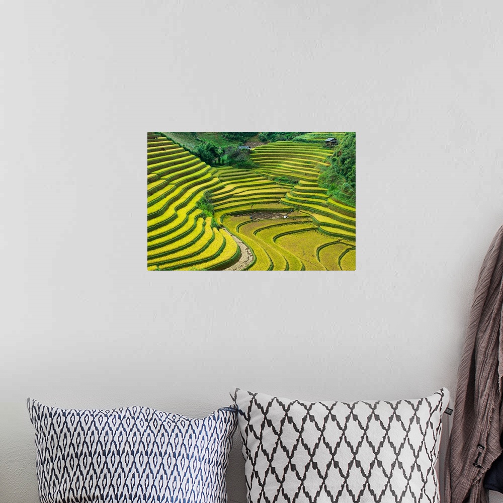 A bohemian room featuring Terraced hills for growing rice in Vietnam.