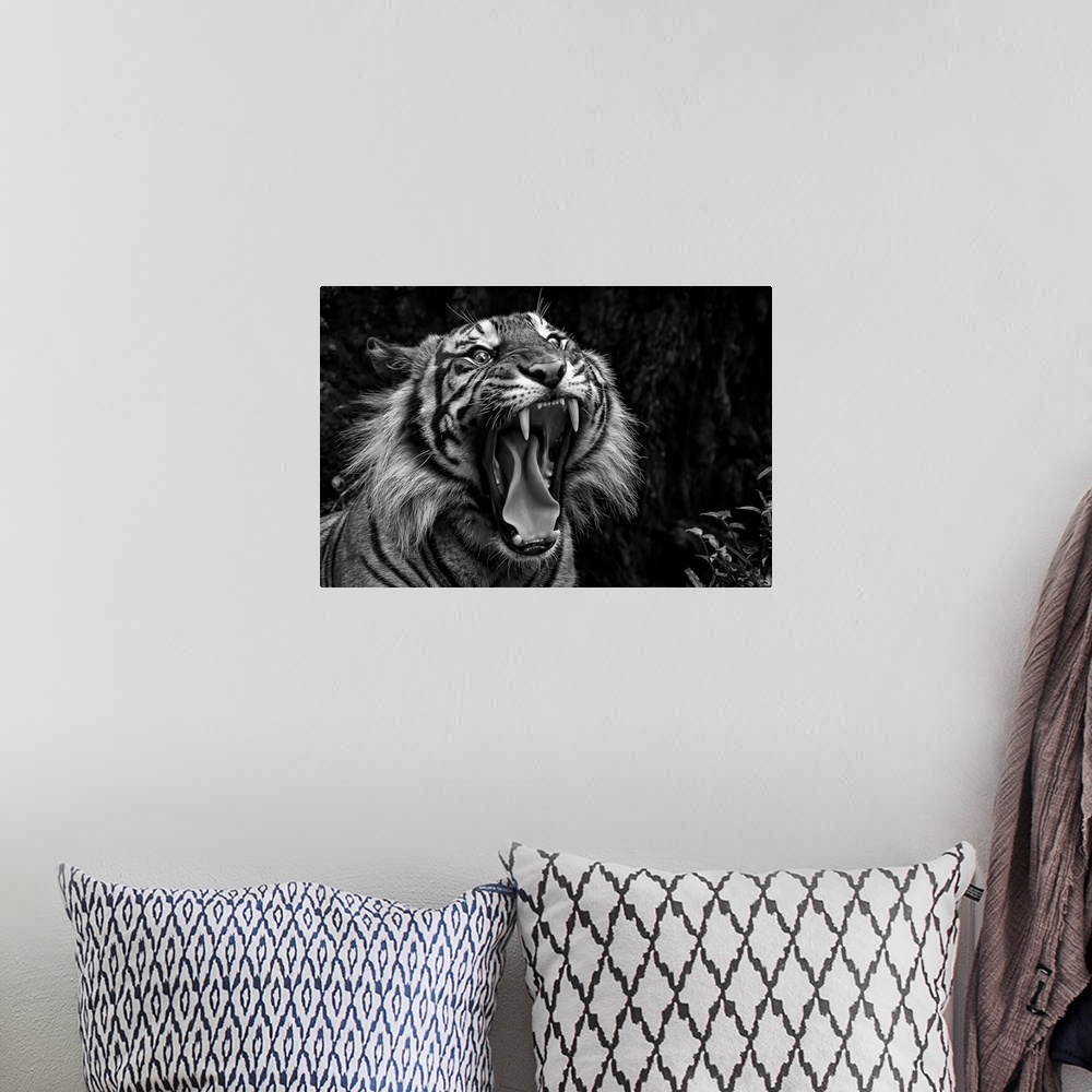 A bohemian room featuring Black and white photo of a snarling tiger.