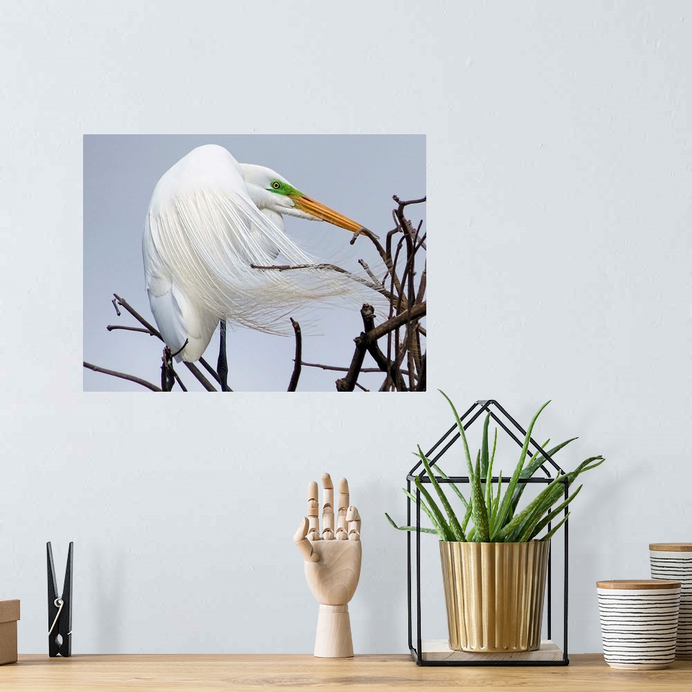 A bohemian room featuring The Egret