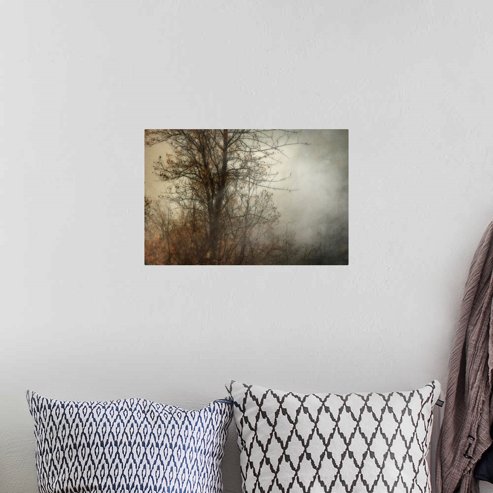 A bohemian room featuring Foggy Tree Without Bird