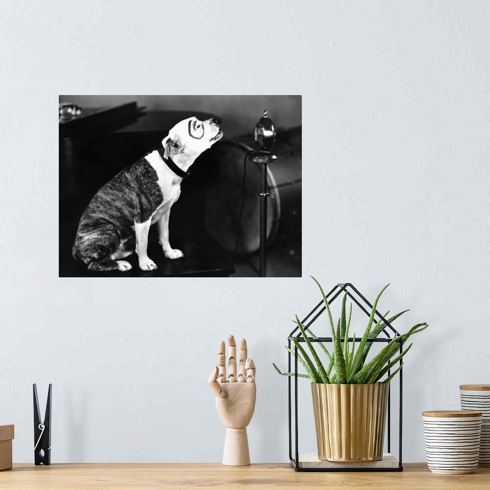 A bohemian room featuring Our Gang B&W Pete The Dog