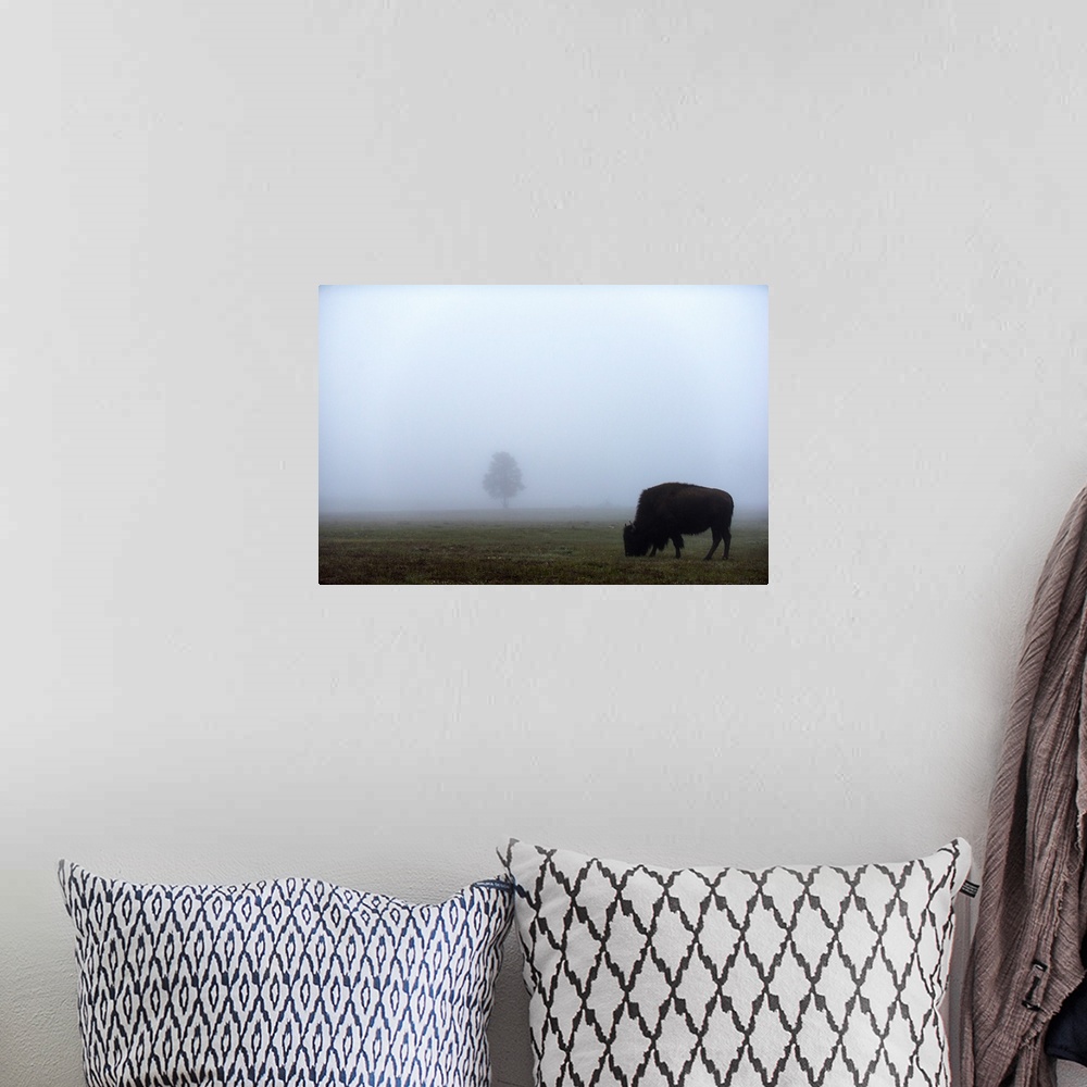 A bohemian room featuring A bison grazing in a field with a single tree in the distance.