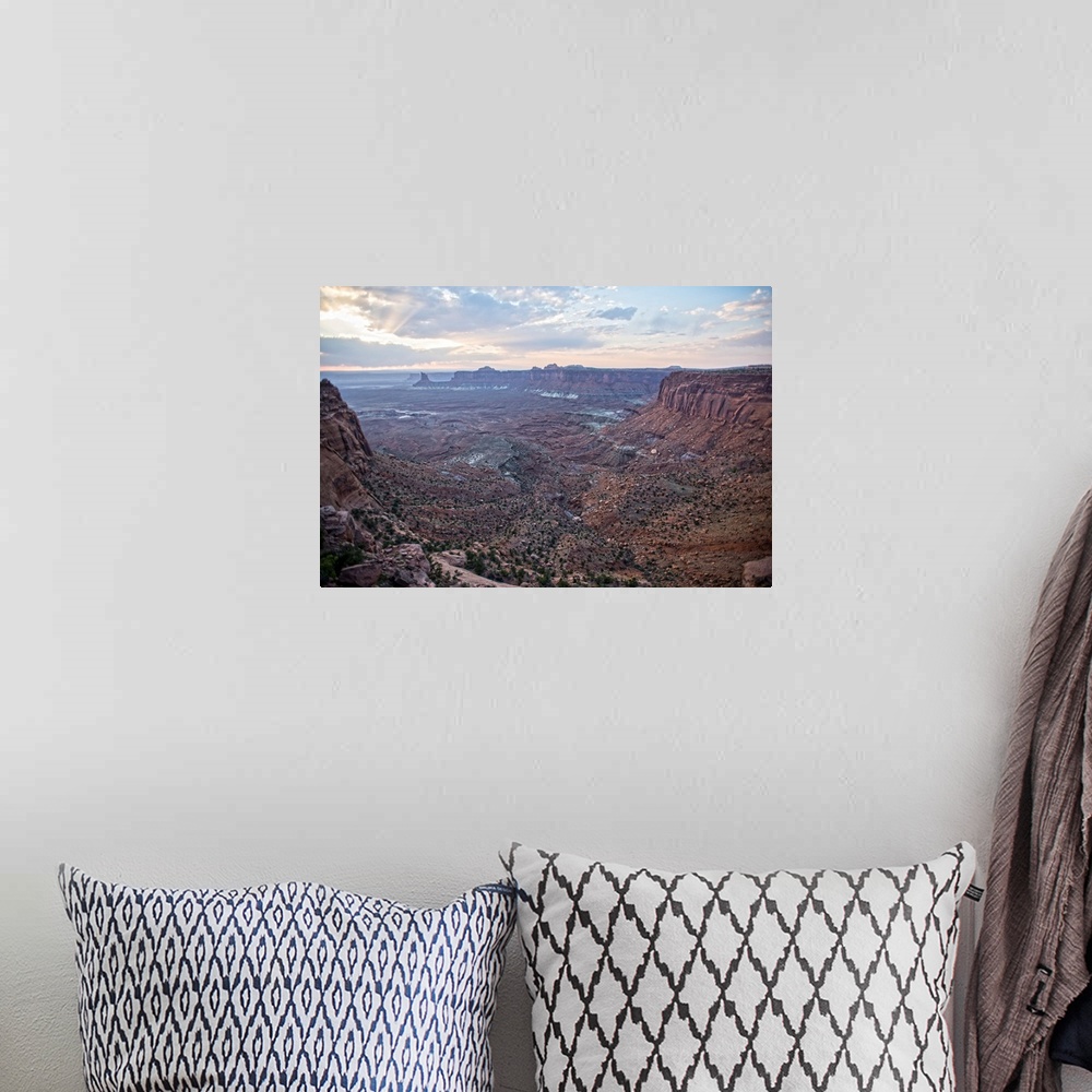 A bohemian room featuring Small bushes and red sandstone make up the canyon landscape at Canyonlands National Park, Moab, U...