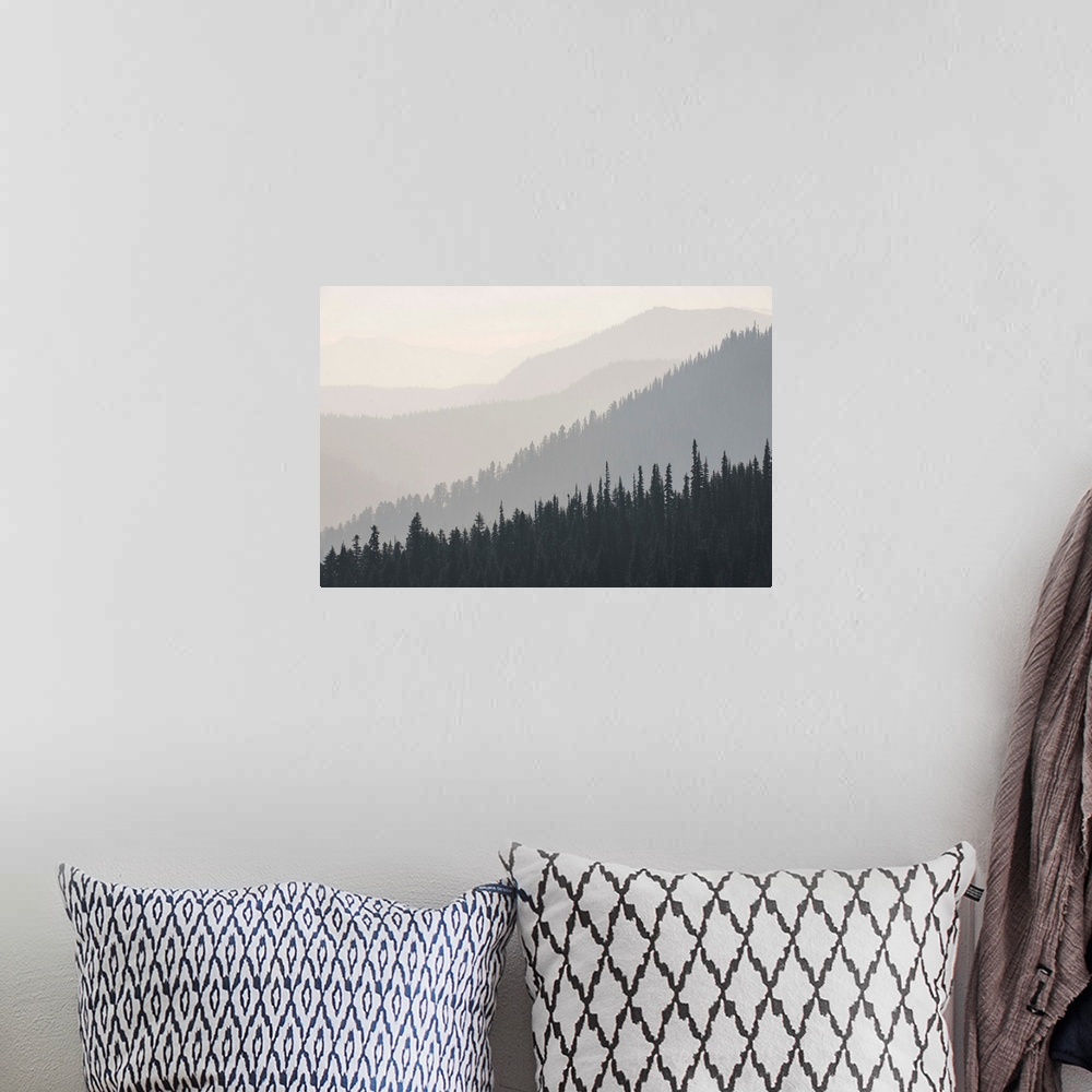 A bohemian room featuring Foggy view of Hurricane Ridge in Olympic National Park, Washington.