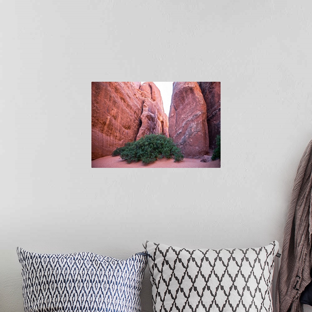 A bohemian room featuring Narrow sandy trail between red sandstone fins on the way to Sand Dune Arch, Arches National Park,...