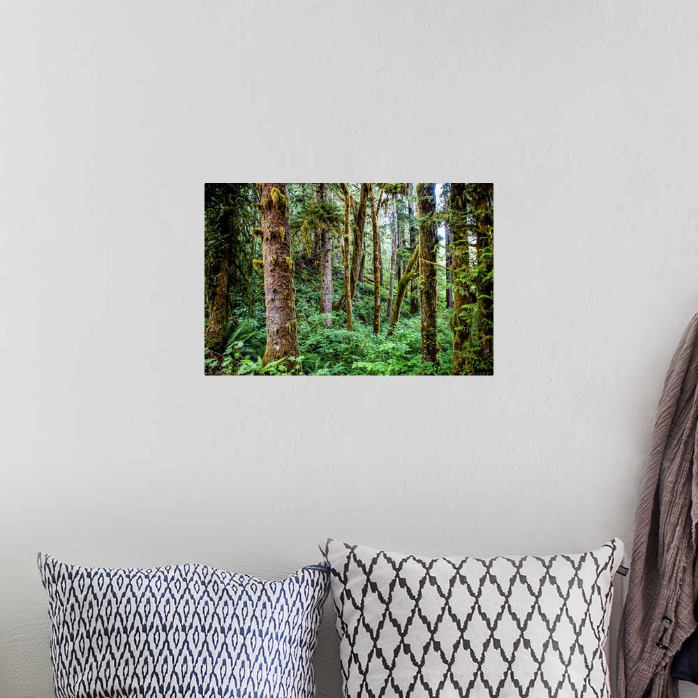 A bohemian room featuring View of Olympic National Park's wilderness in Washington.