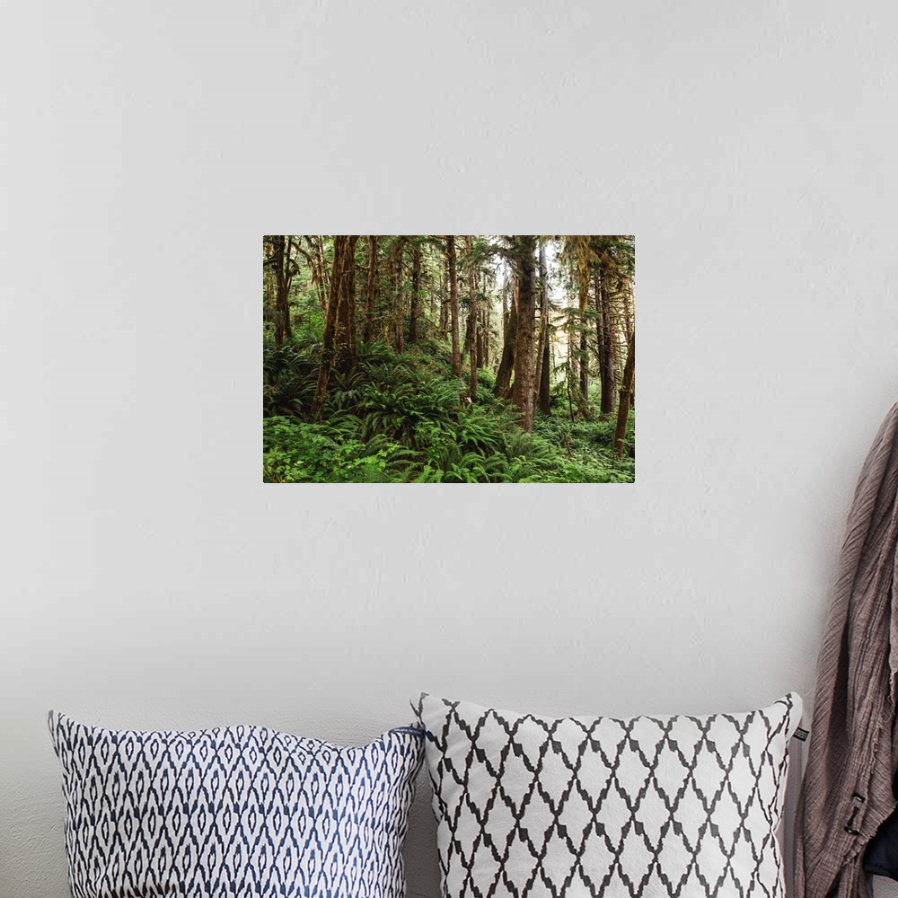 A bohemian room featuring View of Olympic National Park's wilderness in Washington.