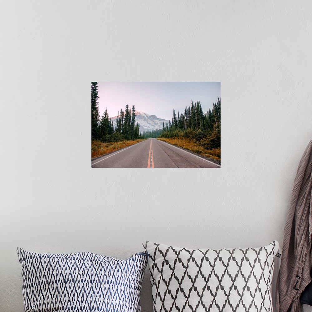 A bohemian room featuring View of the road to Mount Rainier, Mount Rainier National Park, Washington.