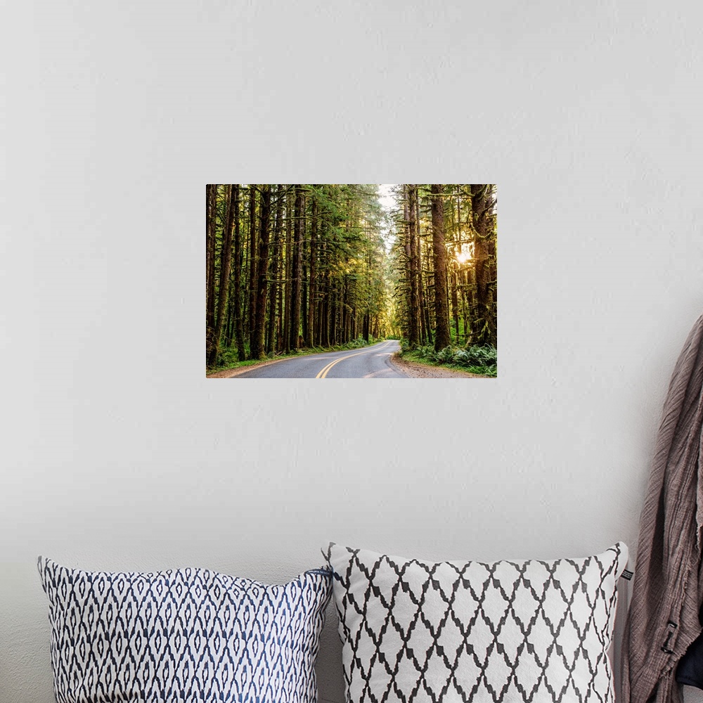 A bohemian room featuring View of a road that runs through Olympic National Park's wilderness in Washington.