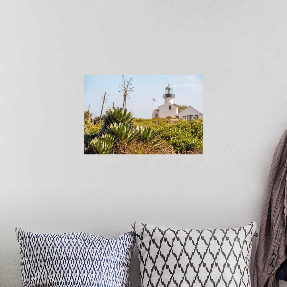 A bohemian room featuring Lush succulents and grasses grow near Old Point Loma Lighthouse.