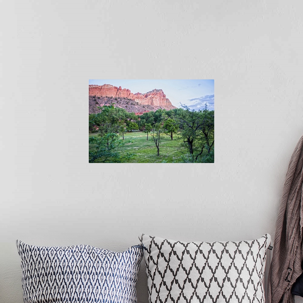 A bohemian room featuring View of Capitol Reef Rock Ridges near Cohab Canyon from Fruita's Orchards in Capitol Reef Nationa...