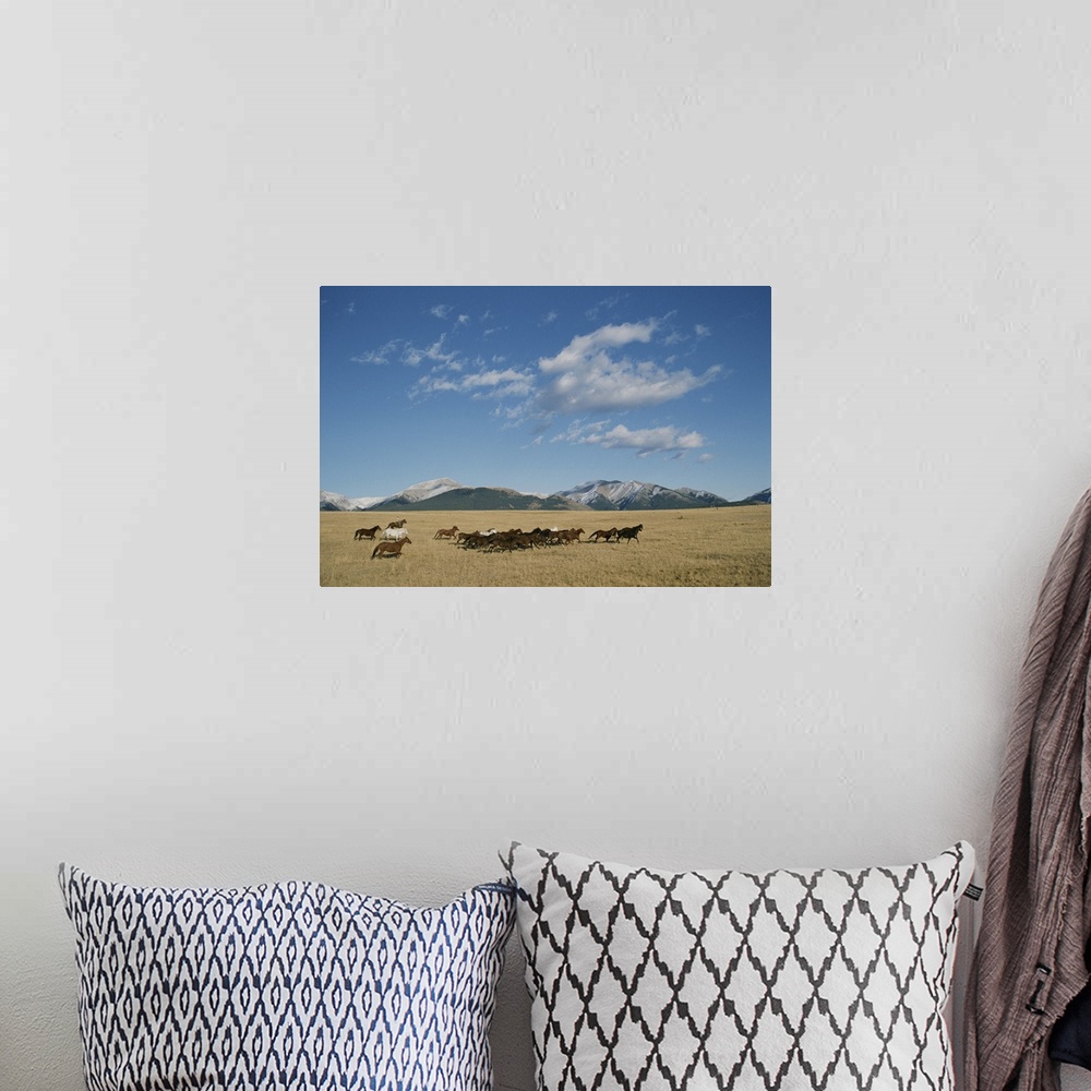 A bohemian room featuring Mares running over the prairie with the Rocky Mountains in background.