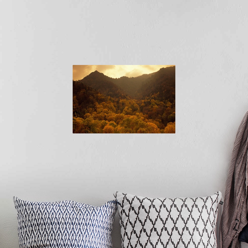A bohemian room featuring Trees in autumn hues covering ancient mountain ridges.