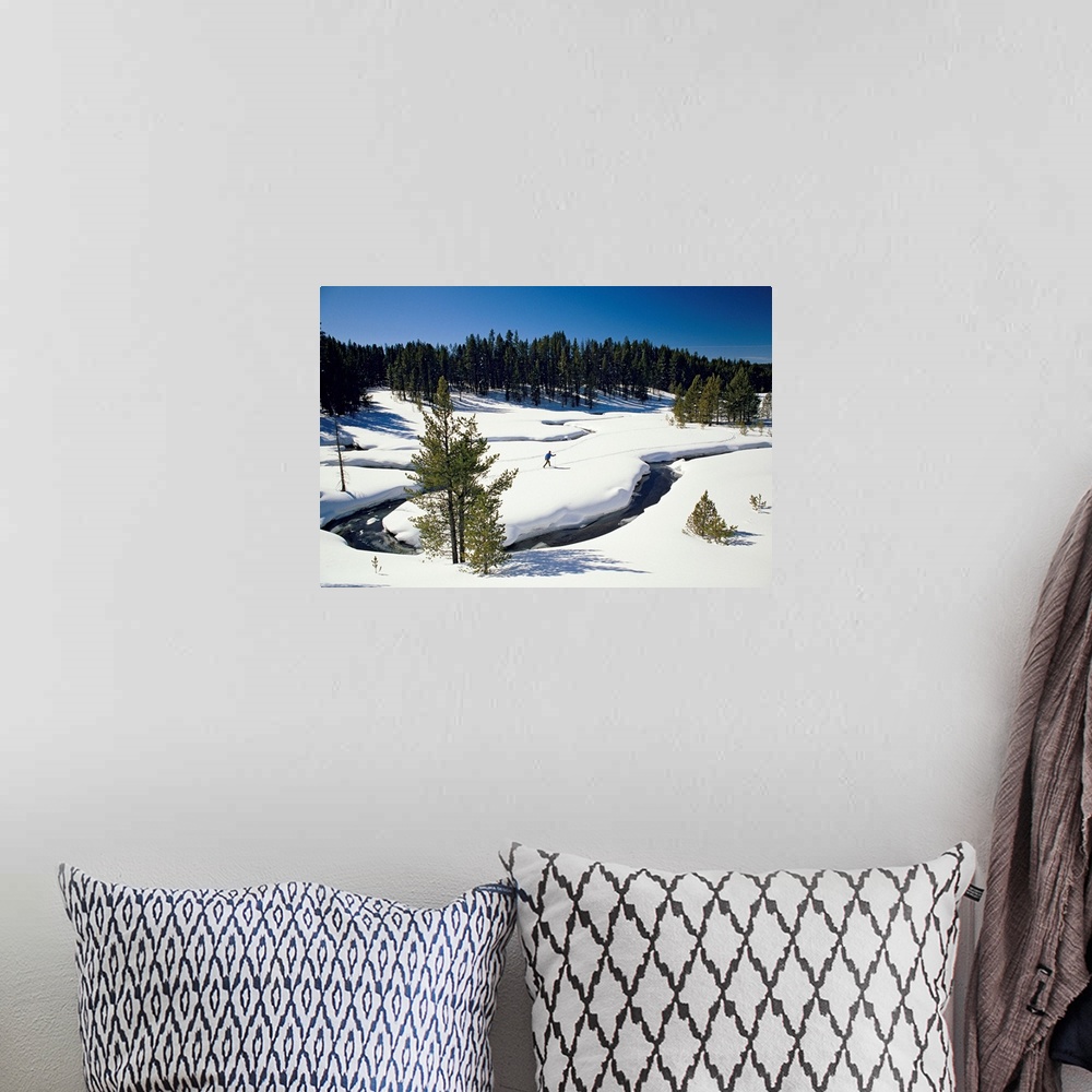 A bohemian room featuring Virginia Creek, with a cross-country skier, Yellowstone National Park, Montana