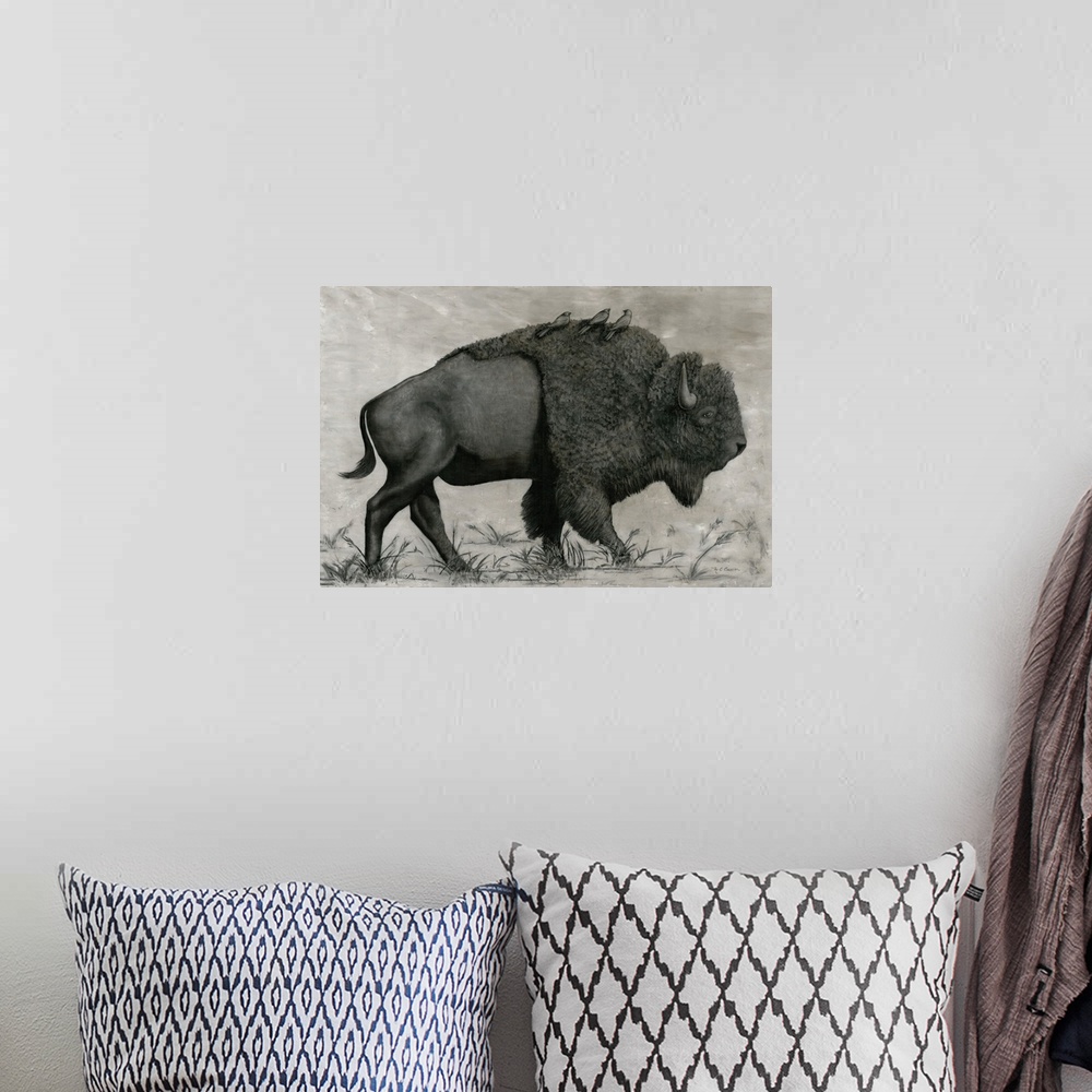 A bohemian room featuring Basking Buffalo