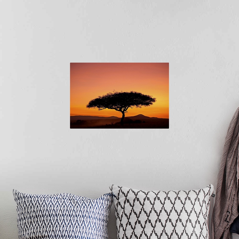 A bohemian room featuring Acacia tree silhouetted at dawn, Masai Mara Game Reserve, Kenya, East Africa, Africa