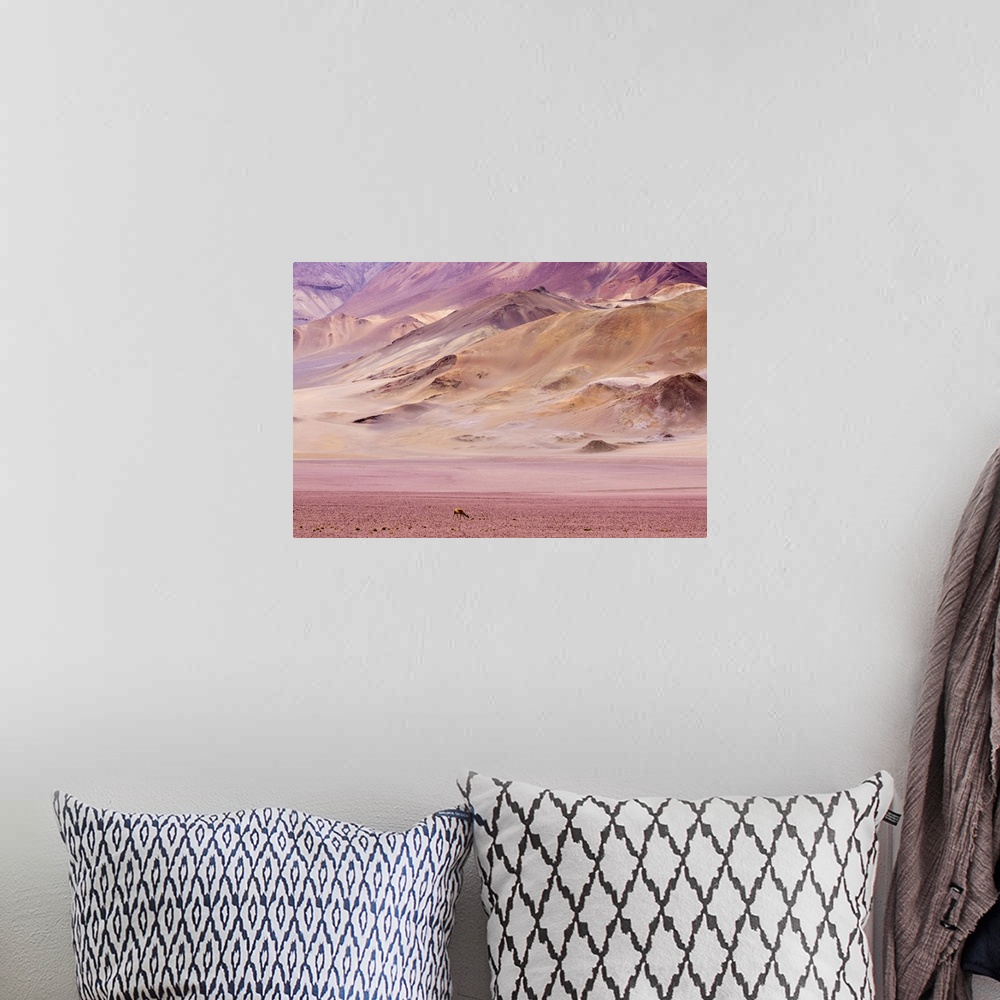 A bohemian room featuring Atacama Desert, Chile, South America