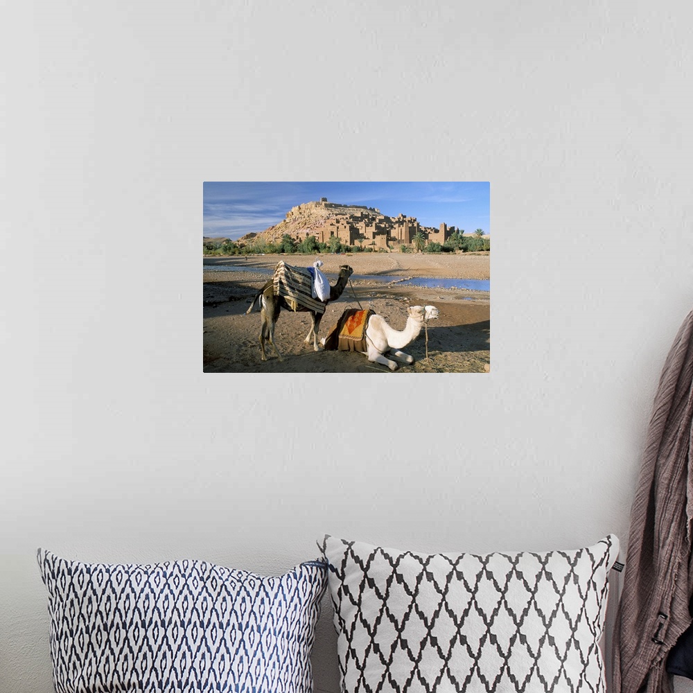 A bohemian room featuring Camels by riverbank with Kasbah Ait Benhaddou, in background, Morocco, Africa