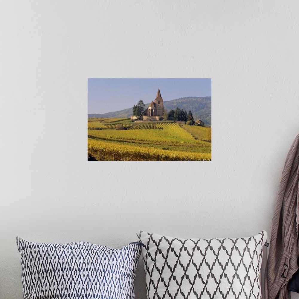 A bohemian room featuring Church in vineyards, Hunawihr, Alsace, France
