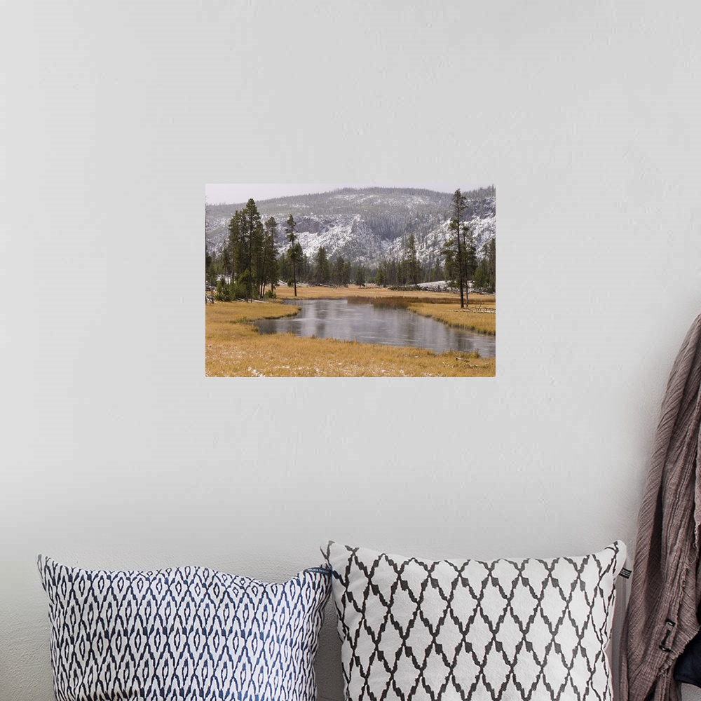 A bohemian room featuring Elk, Firehole River, Yellowstone National Park, Wyoming