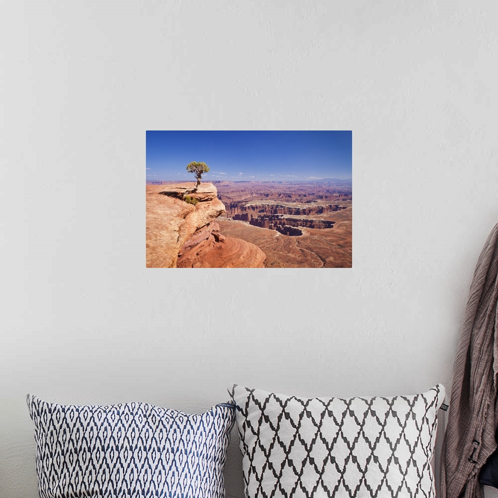 A bohemian room featuring Grand View Point overlook and juniper tree, Canyonlands National Park, Utah