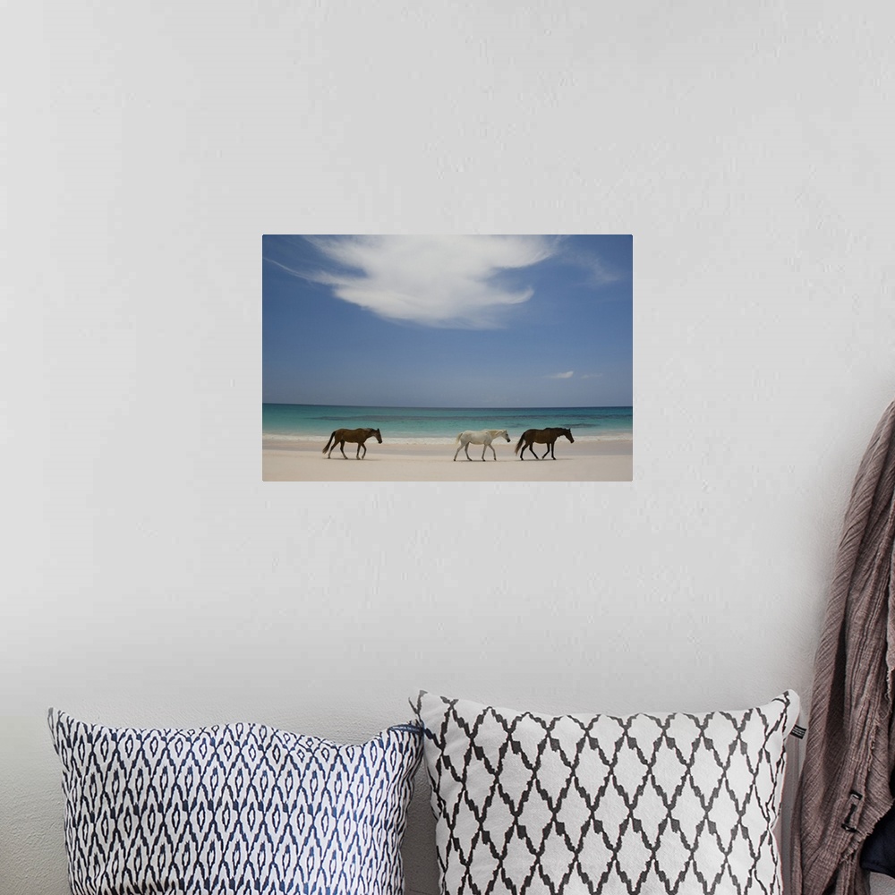 A bohemian room featuring Horses walking on Pink Sands Beach, Harbour Island, The Bahamas, West Indies, Central America