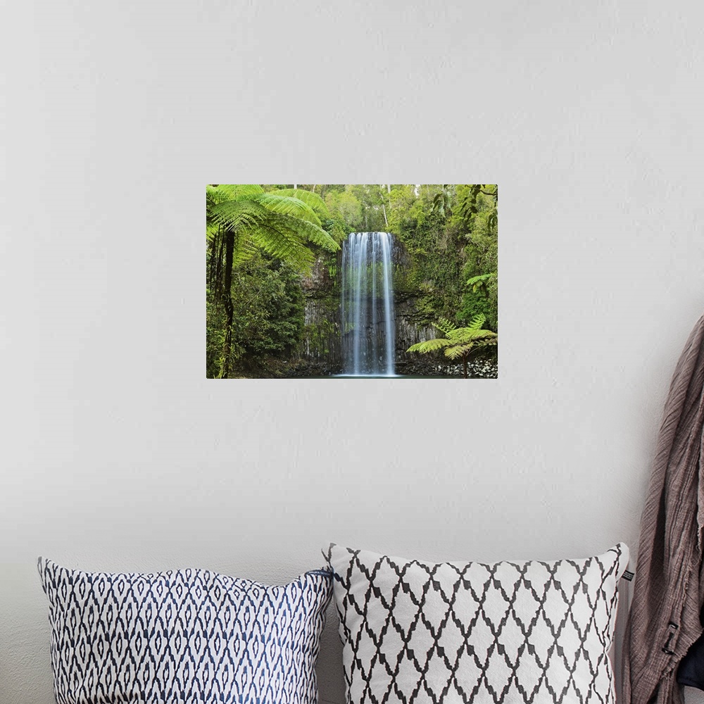A bohemian room featuring Millaa Millaa Falls, Atherton Tableland, Queensland, Australia, Pacific