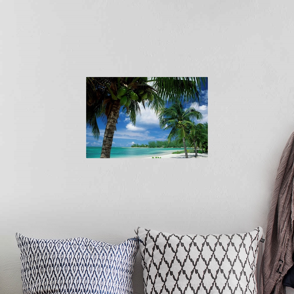 A bohemian room featuring Palms on shore, Cayman Kai near Rum point, Grand Cayman, Cayman Islands