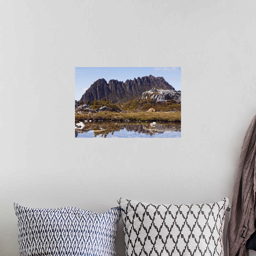A bohemian room featuring Peaks of Cradle Mountain, 1545m, Cradle Mountain Lake, Tasmania, Australia, Pacific
