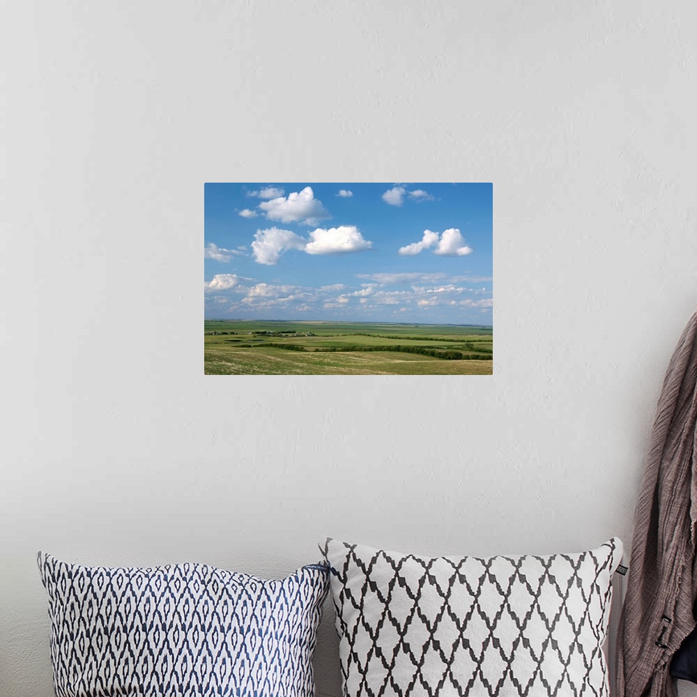 A bohemian room featuring Prairie farmland, North Dakota, United States of America, North America