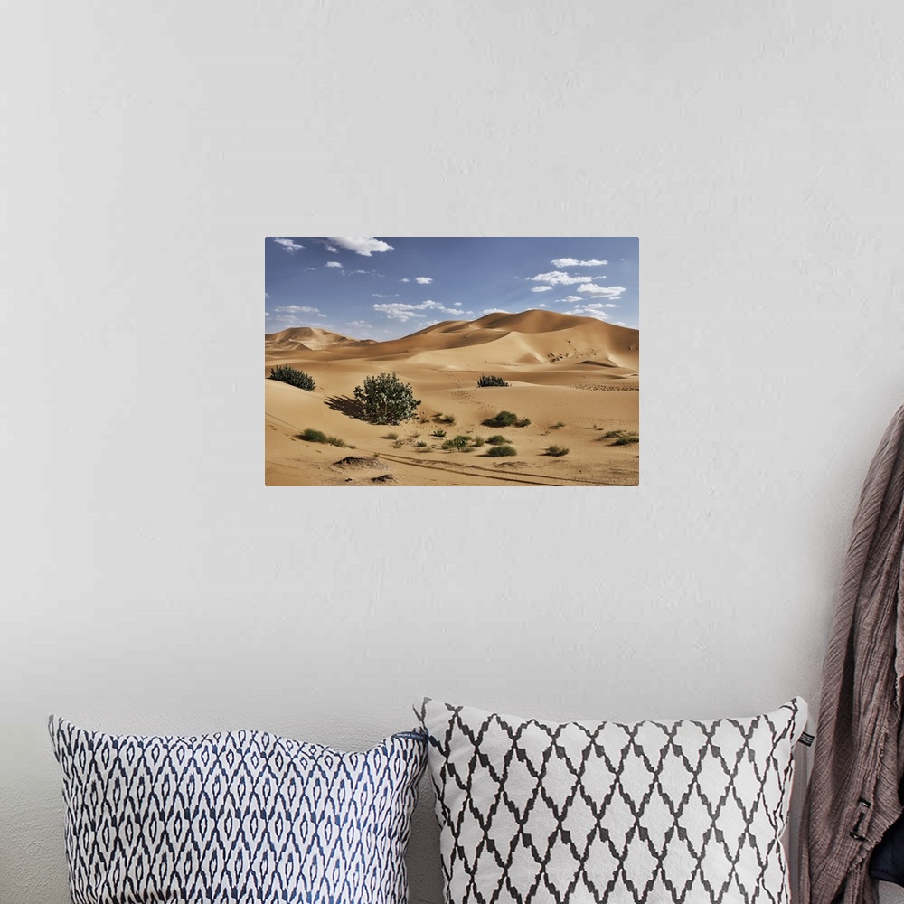 A bohemian room featuring Sand dunes and bushes in the Sahara Desert, Merzouga, Morocco, North Africa, Africa