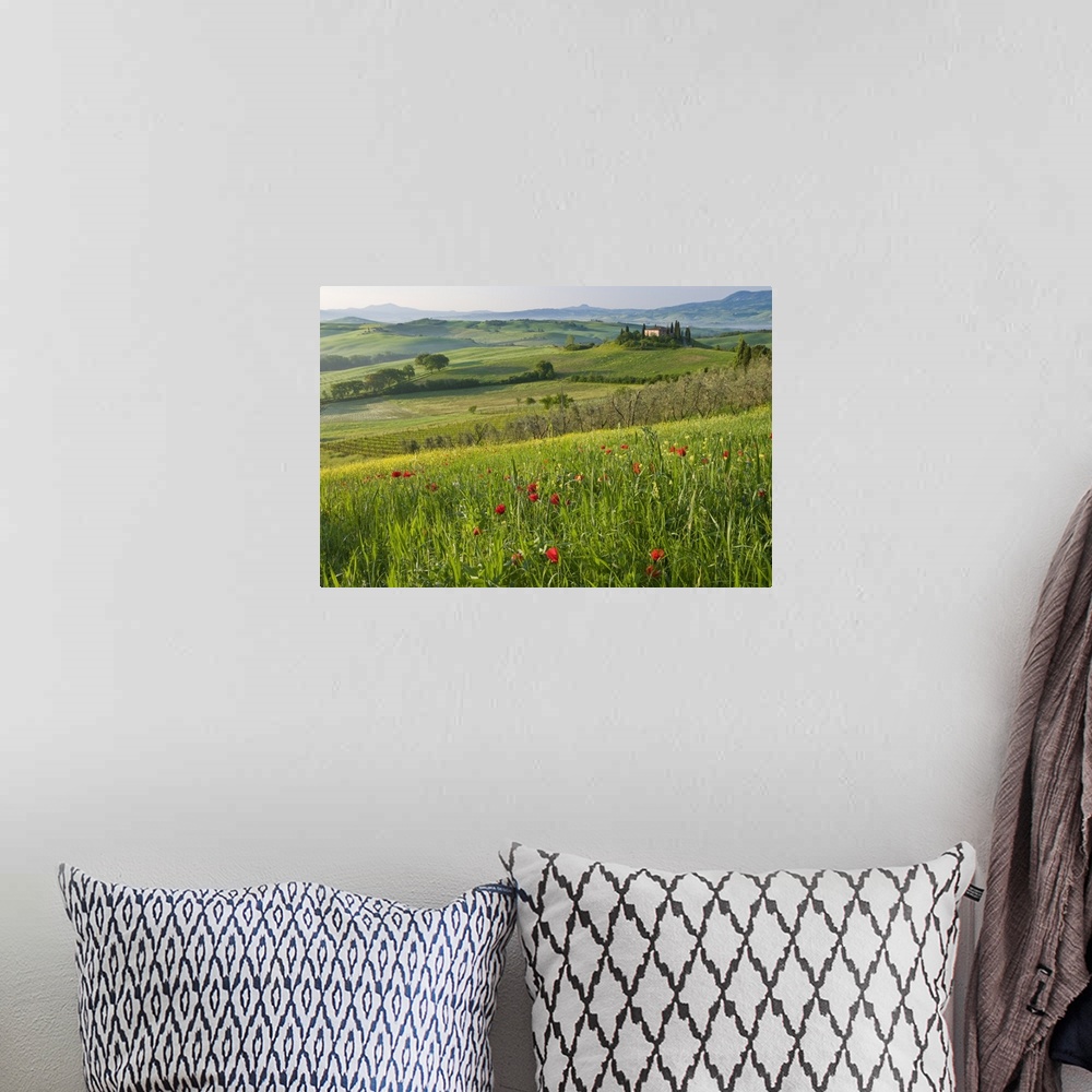 A bohemian room featuring Val d'Orcia showing Belvedere and rolling Tuscan countryside, Tuscany, Italy