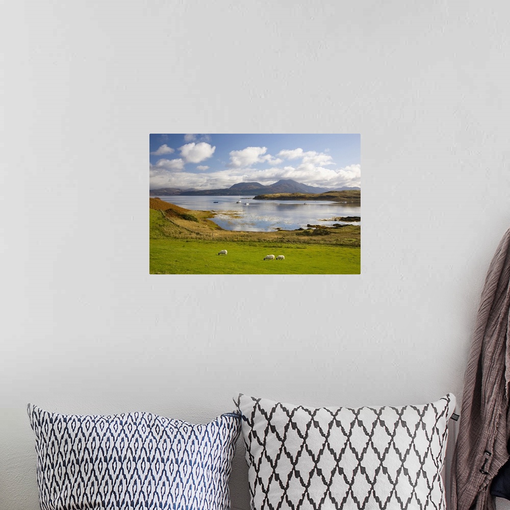 A bohemian room featuring View across harbour to the Sound of Sleat and hills of the Knoydart Peninsula, sheep grazing, Isl...