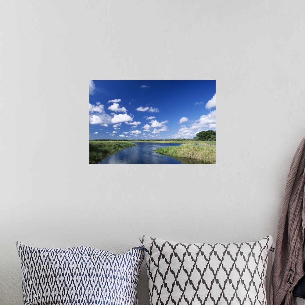 A bohemian room featuring View from riverbank of white clouds and blue sky, Myakka River State Park, Florida, USA