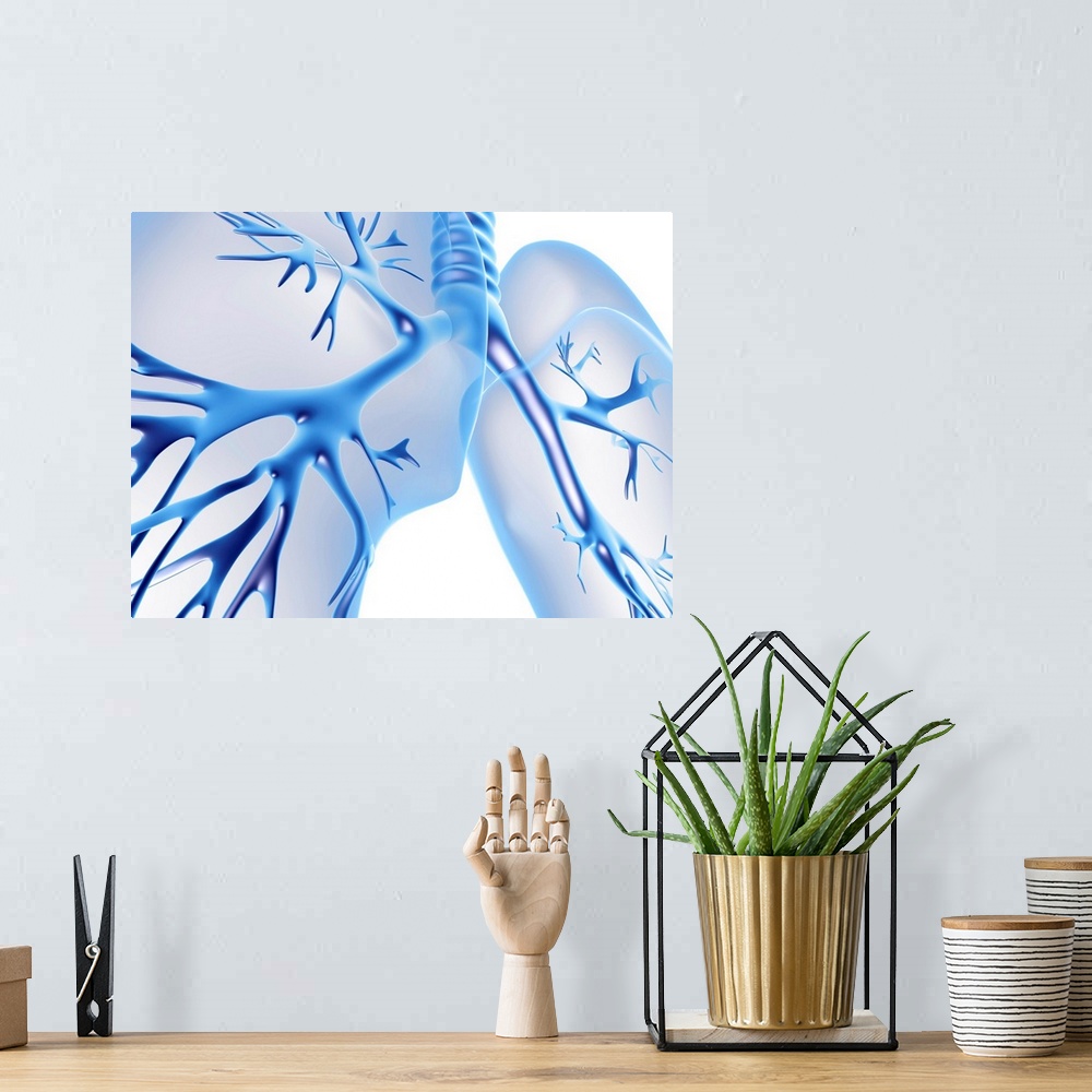 A bohemian room featuring Bronchial tree. Computer artwork representing a human bronchial tree and lungs. The human bronchi...