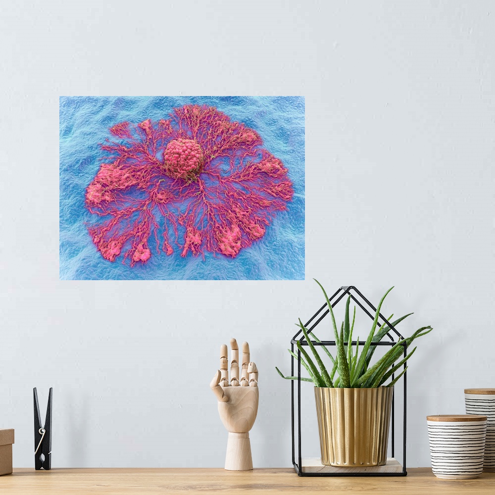 A bohemian room featuring Cancer cell spreading. Three-dimensional computer illustration of a cancer cell spreading.