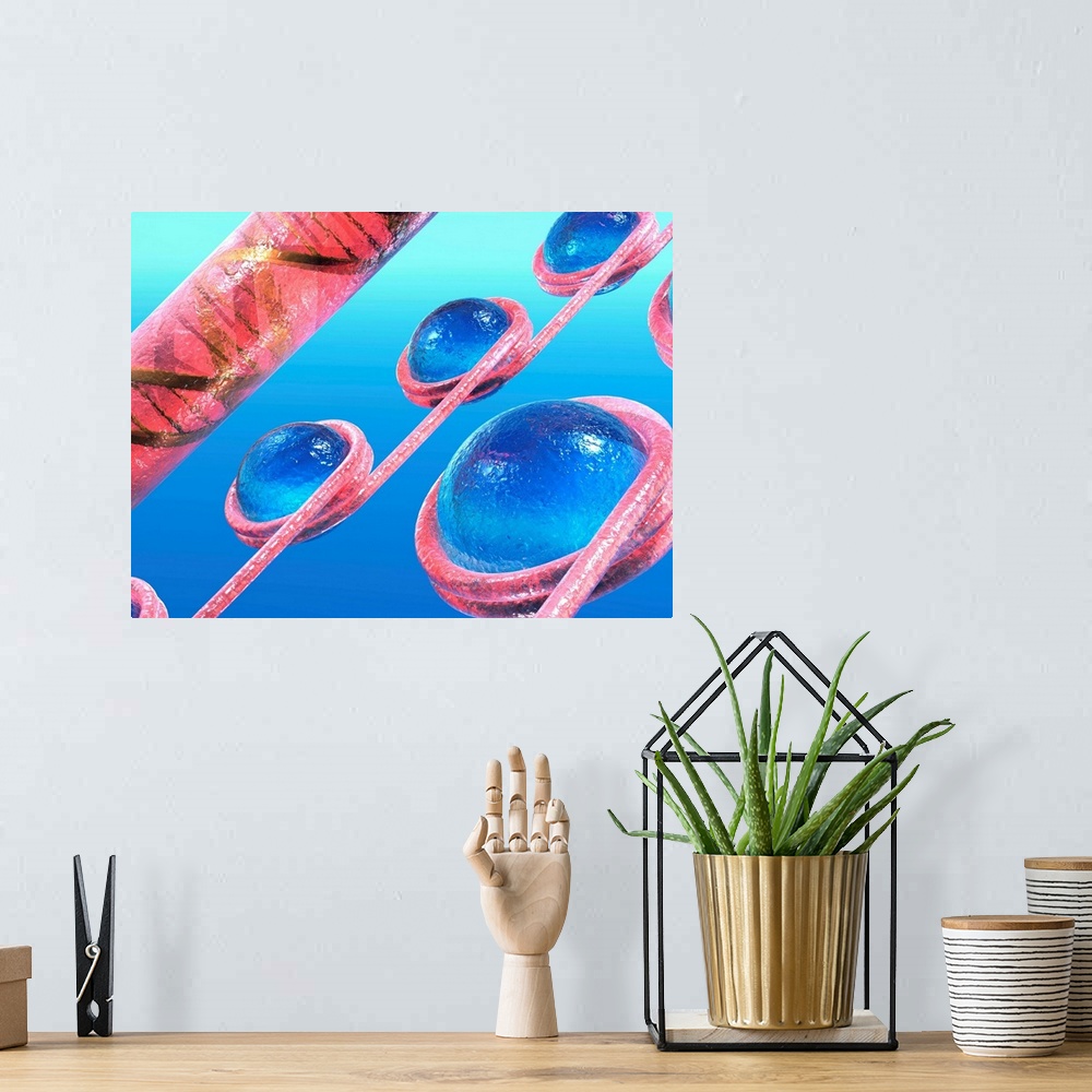 A bohemian room featuring Chromatin beads. Computer artwork of strands of DNA (deoxyribonucleic acid, pink) coiled around h...